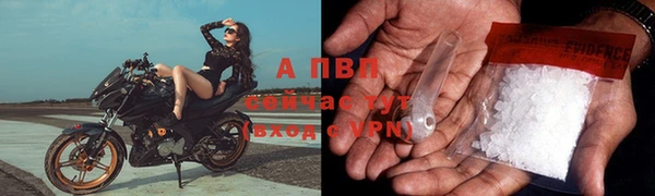 ПСИЛОЦИБИНОВЫЕ ГРИБЫ Ростов