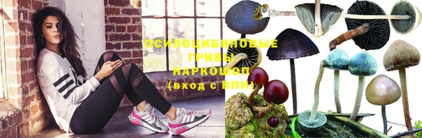 ПСИЛОЦИБИНОВЫЕ ГРИБЫ Ростов