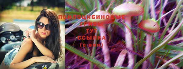амф Алексеевка