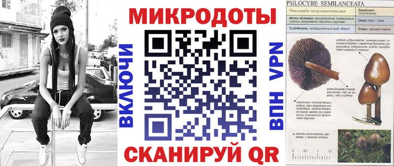 Псилоцибиновые грибы мухоморы Кольчугино