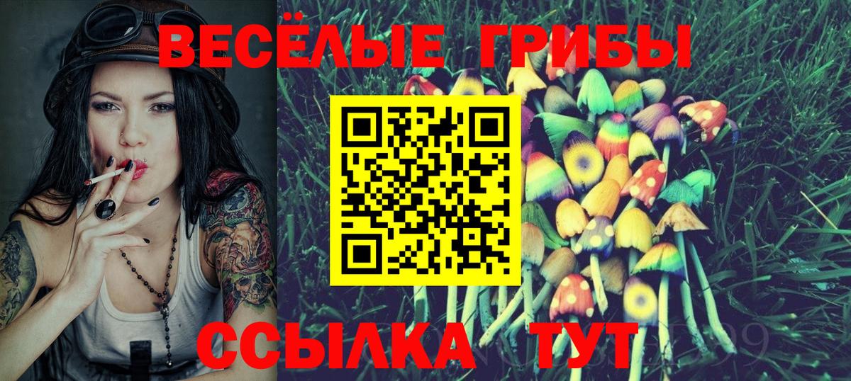 Галлюциногенные грибы мухоморы  Вход с VPN  купить наркотик  Кольчугино 