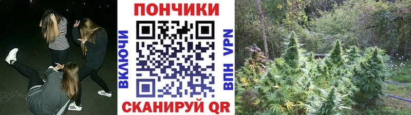 Канабис индика  кракен онион  Кольчугино 