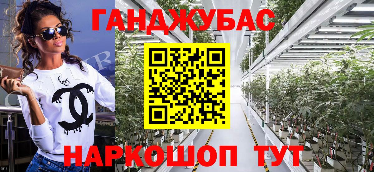 Бошки Шишки планчик Кольчугино